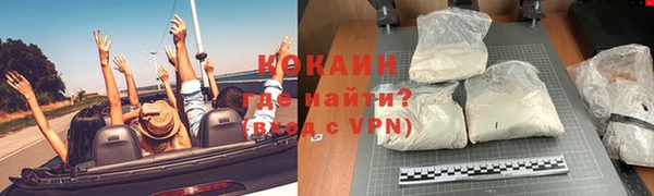 прущие грибы Балабаново