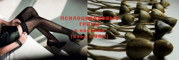 прущие грибы Балабаново