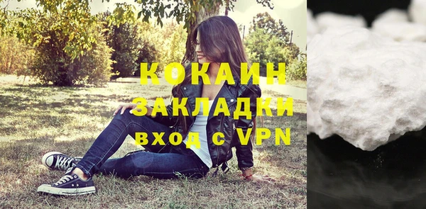 прущие грибы Балабаново