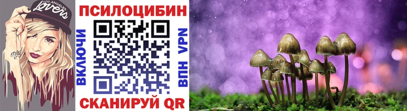 Псилоцибиновые грибы ЛСД Кузнецк